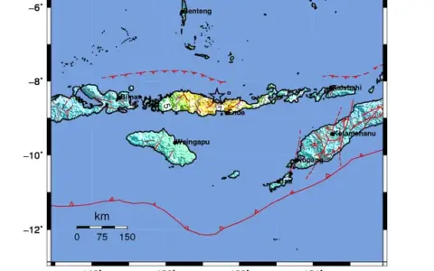 Gempa M7,7 Guncang Nagekeo NTT, BMKG Keluarkan Peringatan Tsunami