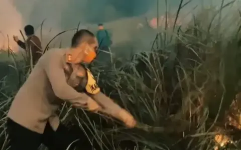 Karhutla Landa Taman Nasional Way Kambas, Polri Turun Padamkan Api