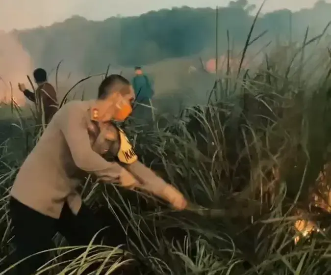 Karhutla Landa Taman Nasional Way Kambas, Polri Turun Padamkan Api