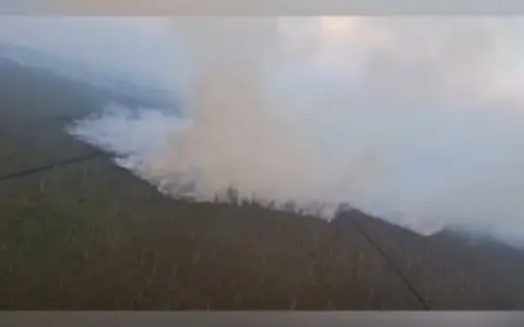 BNPB Padamkan Karhutla Kalteng dengan 332 Ribu Liter Air