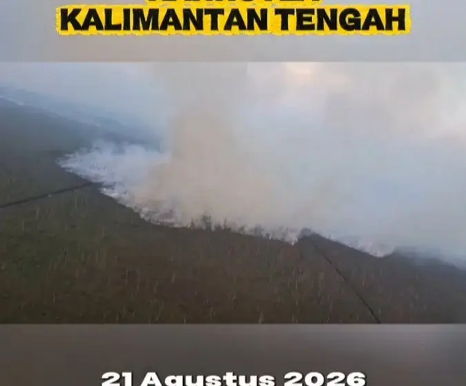 BNPB Padamkan Karhutla Kalteng dengan 332 Ribu Liter Air