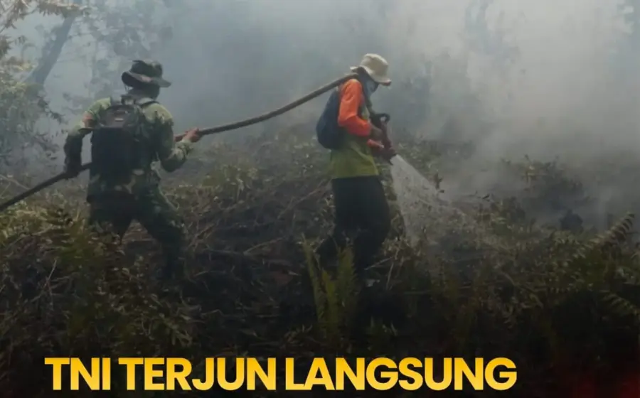 Fraksi PDIP Desak Langkah Luar Biasa Tangani Karhutla, TNI Padamkan Api di Gambut Kalteng