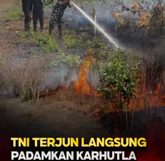 TNI Turun Padamkan Karhutla di Ketapang, Kalimantan Barat