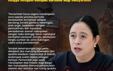 Puan Maharani Desak Penanganan Karhutla, Jangan Tunggu Nota Keberatan Negara Lain