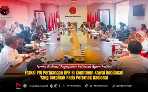 Harga Telur Anjlok di Tingkat Peternak, Fraksi PDIP DPR Kawal Nasib Peternak